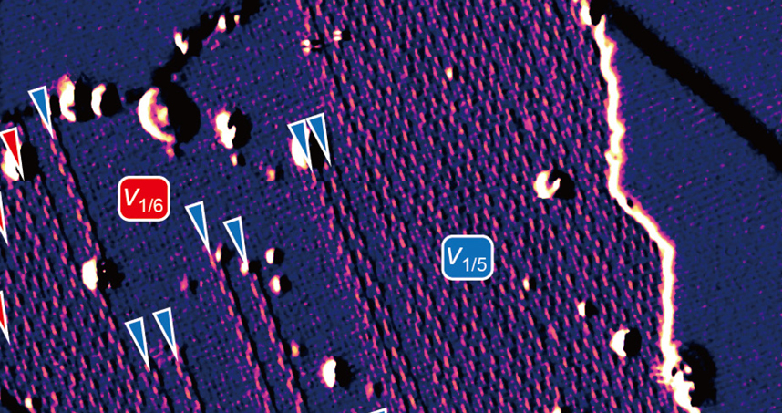 Synthesized borophene with parallel line defects.