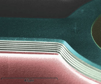 Zoomed-in SEM image showing the air-gaps sandwiched by two channels.