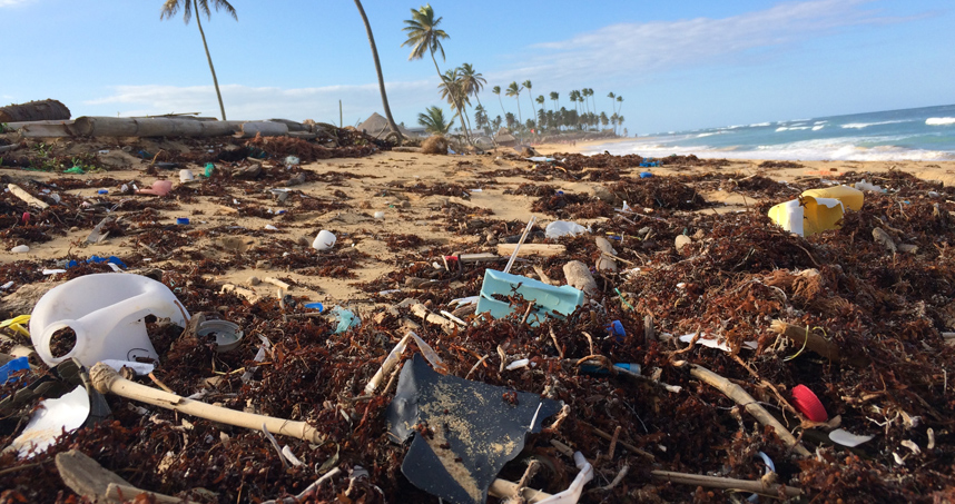 ISEN's Program on Plastics, Ecosystems, and Public Health will focus on plastic waste impacts and solutions.