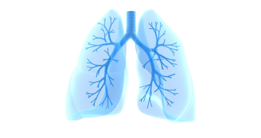 Northwestern and Google researchers use AI to detect malignant lung nodules on LDCT scans before radiologists.