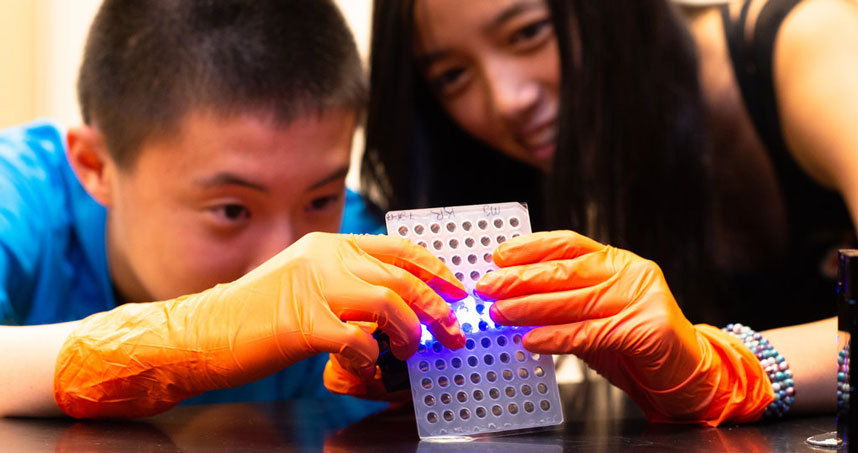 Participating in the pilot study, area high school students perform a biology experiment with a BioBits kit.