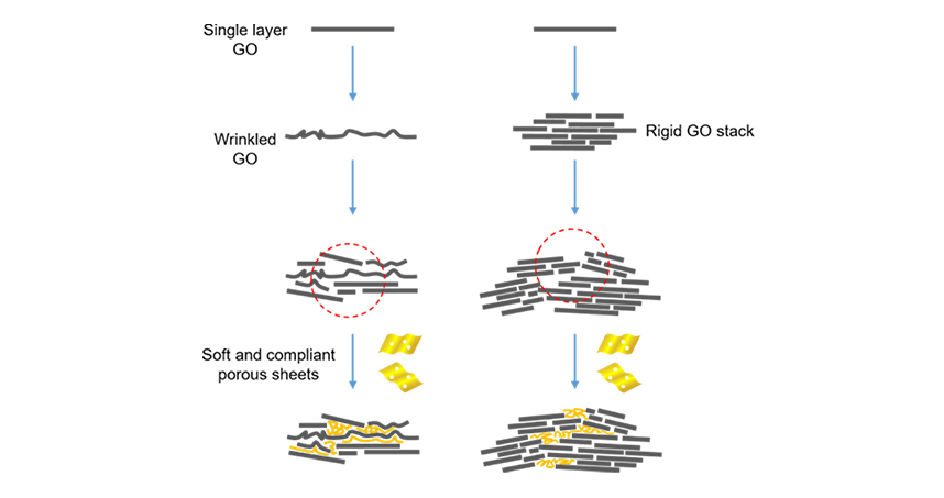 Large single layers of GO wrinkle easily, leaving breakable gaps. Small, hard flakes don't integrate well. 