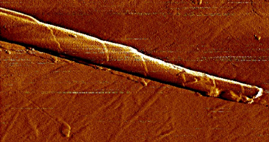 Image of a C16-K1 cochleate formed in 10 mM salt concentration. 