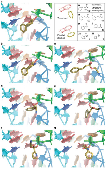 Simulated molecular interactions between selected substrates and the binding pocket of eFx. Tetrahedral intermediate models of the CME esters were optimized and subjected to Monte Carlo energy optimization via Rosetta.