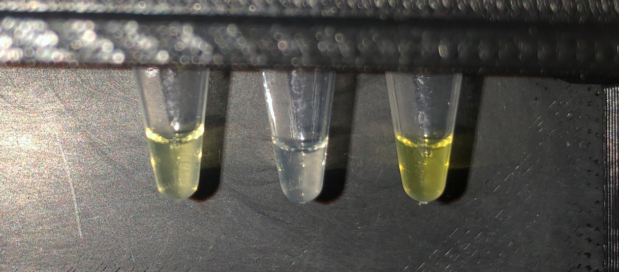 test-tube