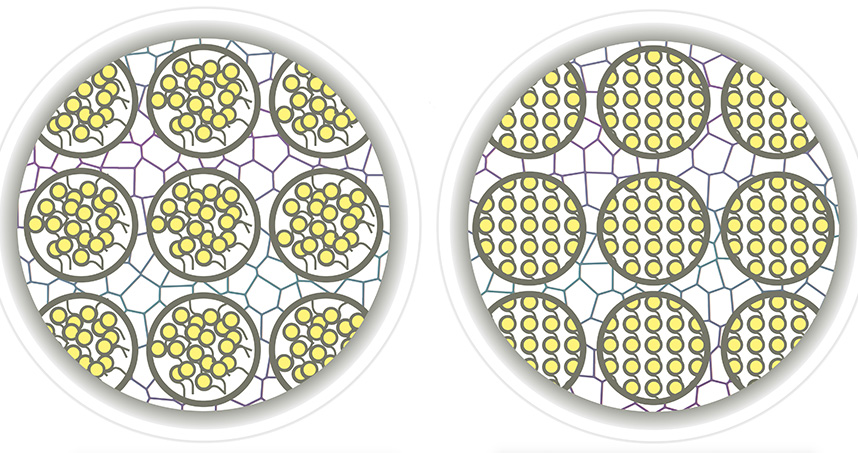 Disorderly chromatin (left) in a cell's nucleus compared to orderly chromatin (right)