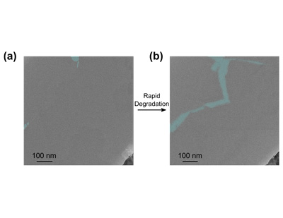 An image of void coalescence. On left, a low-magnification TEM of MoS2 grain boundary region prior to biasing. On right, the same region after an electrical bias is applied. As is apparent, neighboring voids (blue) appear to coalesce to form porous chains.