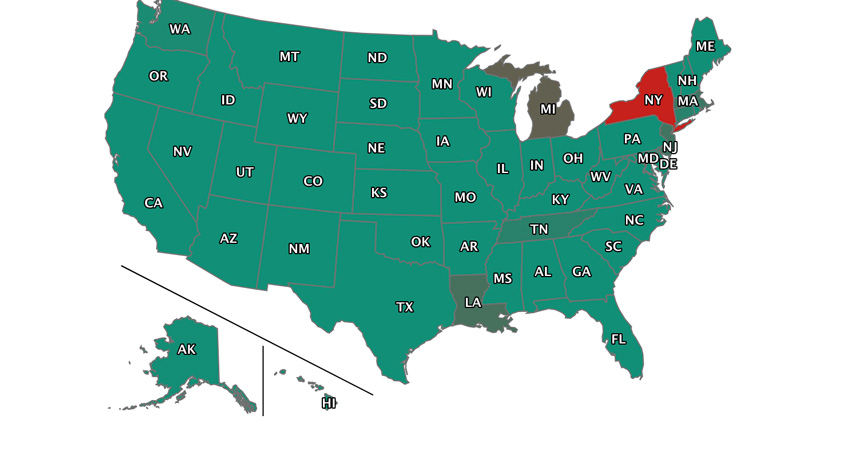 Researchers developed a new model to help states allocate resources.