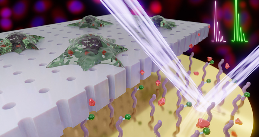 Researchers developed one of the first non-destructive methods of extracting multiple samples from a cell.