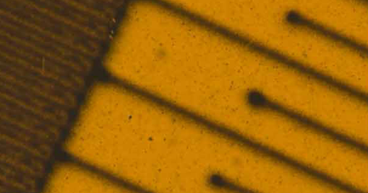 Printable Biosensors Could Detect Contaminated Fish News 