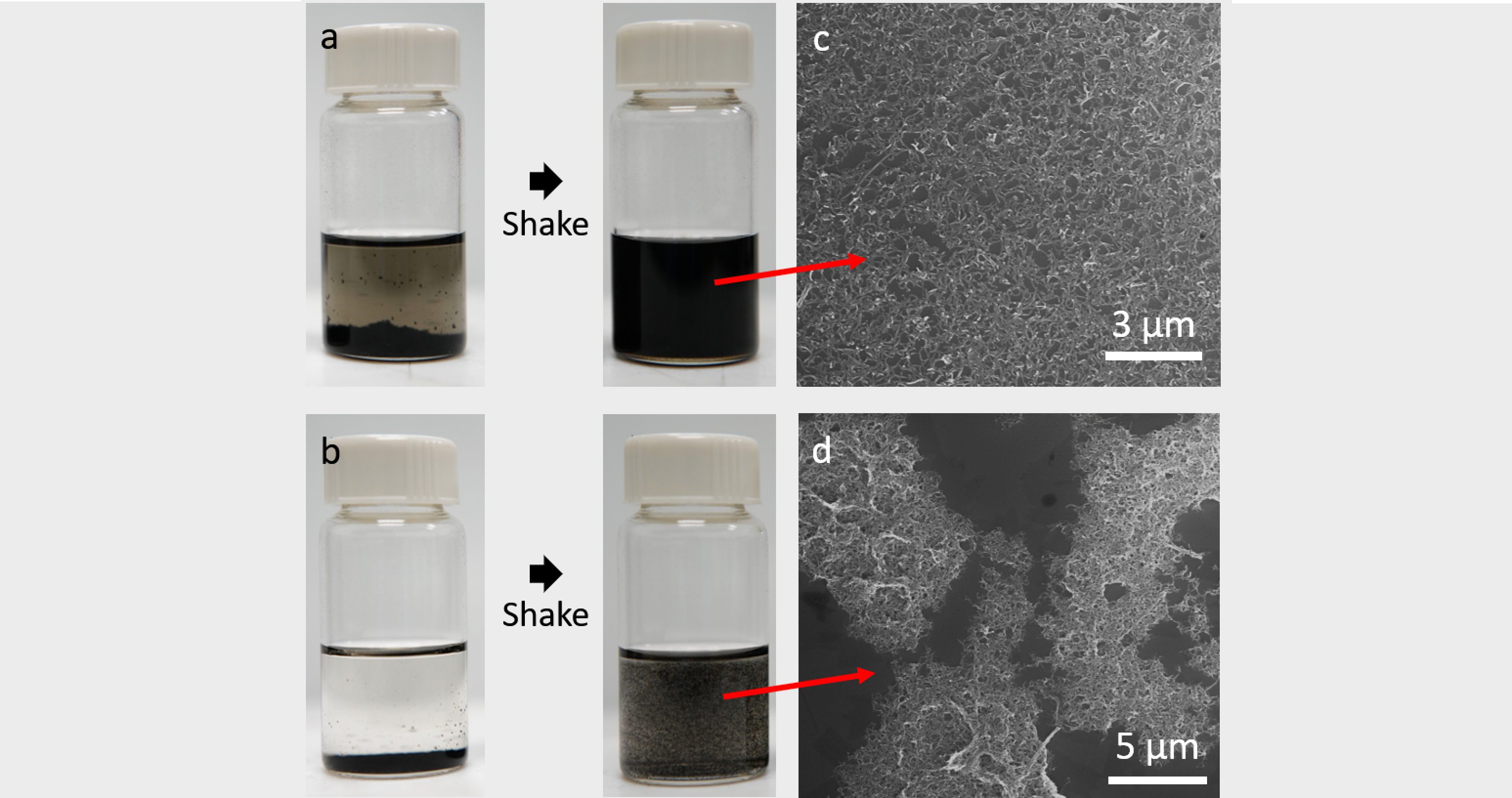 A team from Northwestern Engineering discovered why cresols are effective for dispersing nanotubes.