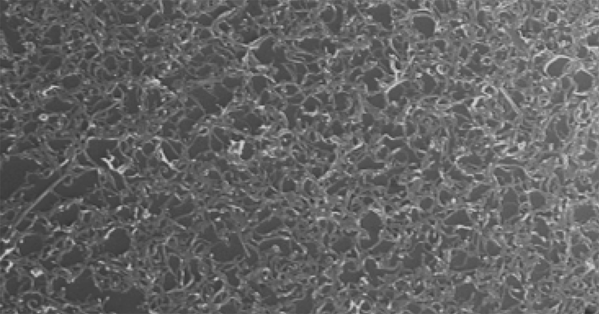 Direct Solution Processing of Carbon Nanotubes in Solvent Cocktails ...
