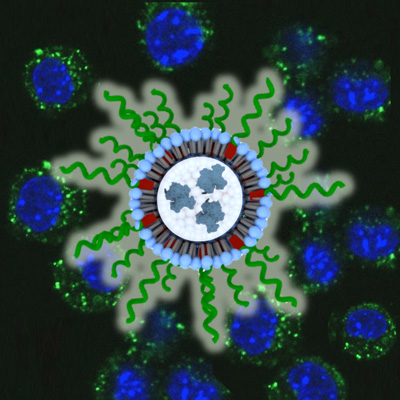 Spherical Nucleic Acid (SNA) Credit: Northwestern University