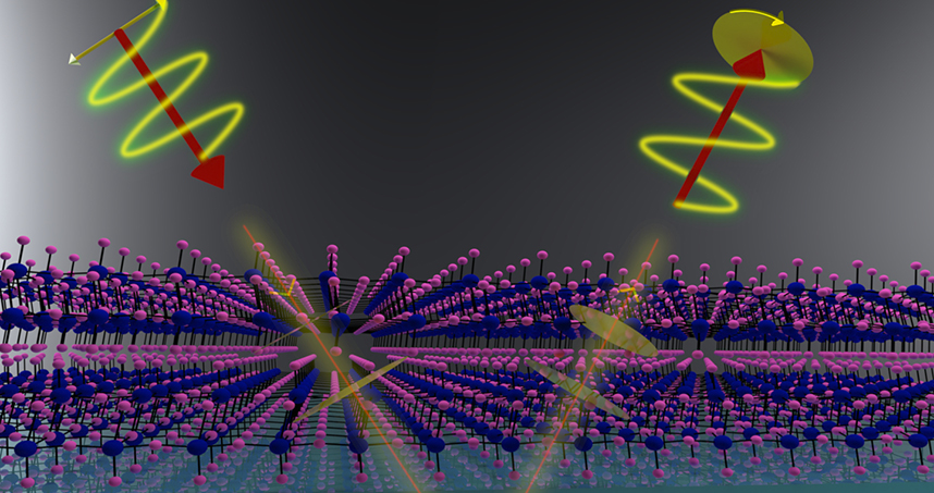 α-MoO3 is naturally polarization-sensitive, and does not require complicated fabrication schemes.