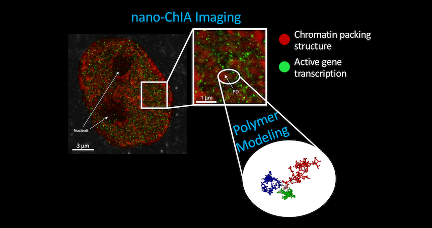 The imaging platform combines four techniques to provide imaging and sensing capabilities.