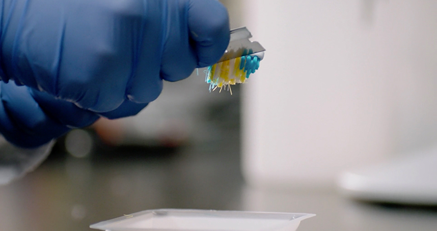 A researcher removes bristles from a toothbrush for testing. Image: Big Ten Network