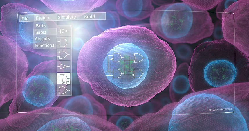 Synthetic biologists achieve a breakthrough in the design of living cells. (Image: Justin Muir)