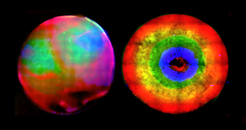 3D printed cortical brain‐like layered structures using superstructured inks.