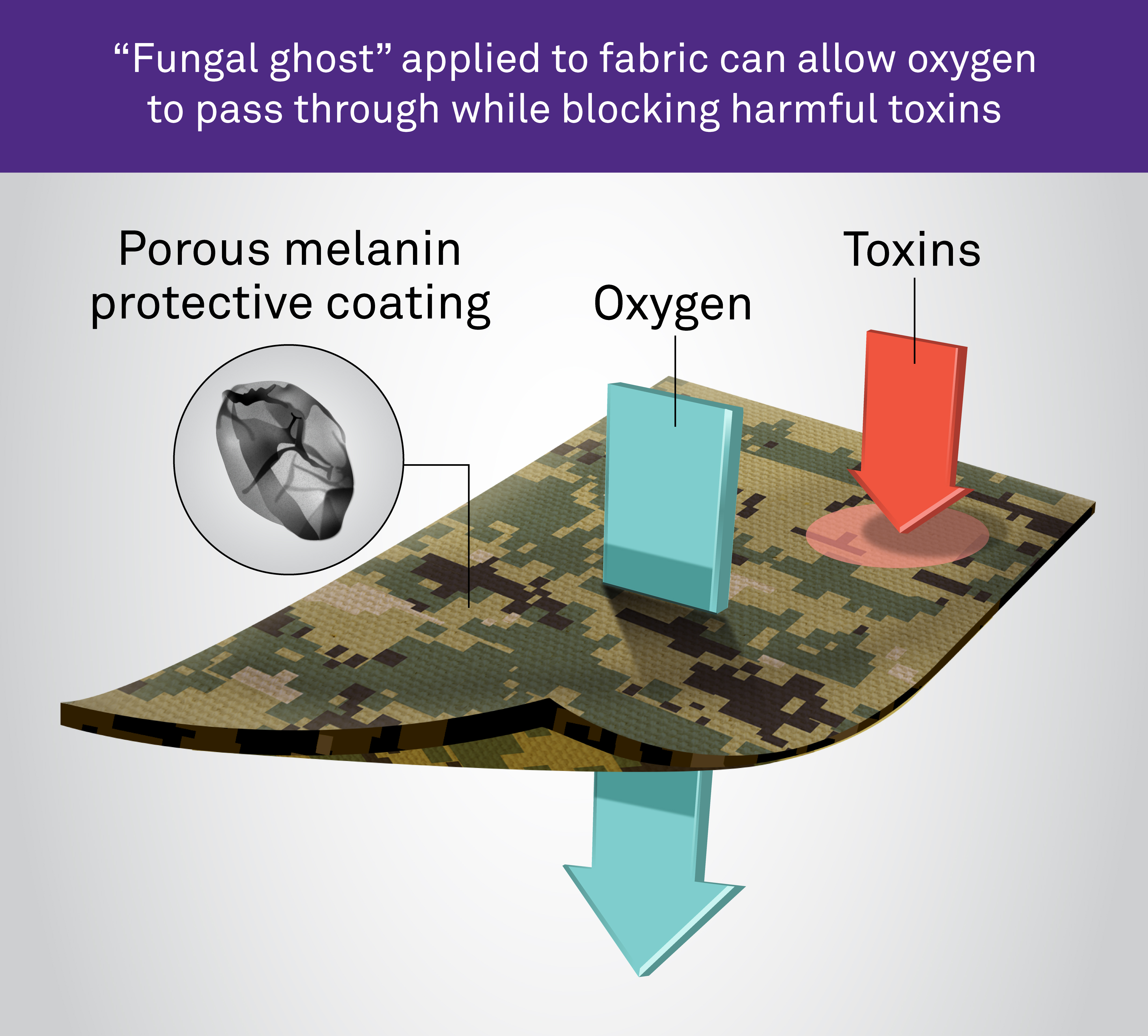 Melanin blocks harmful materials from entering fabric while letting good stuff, like oxygen and water, pass through.