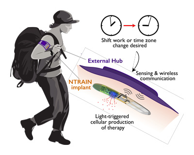 In this artistic illustration, a user with an NTRAIN implant and its accompanying external hub works in the field.