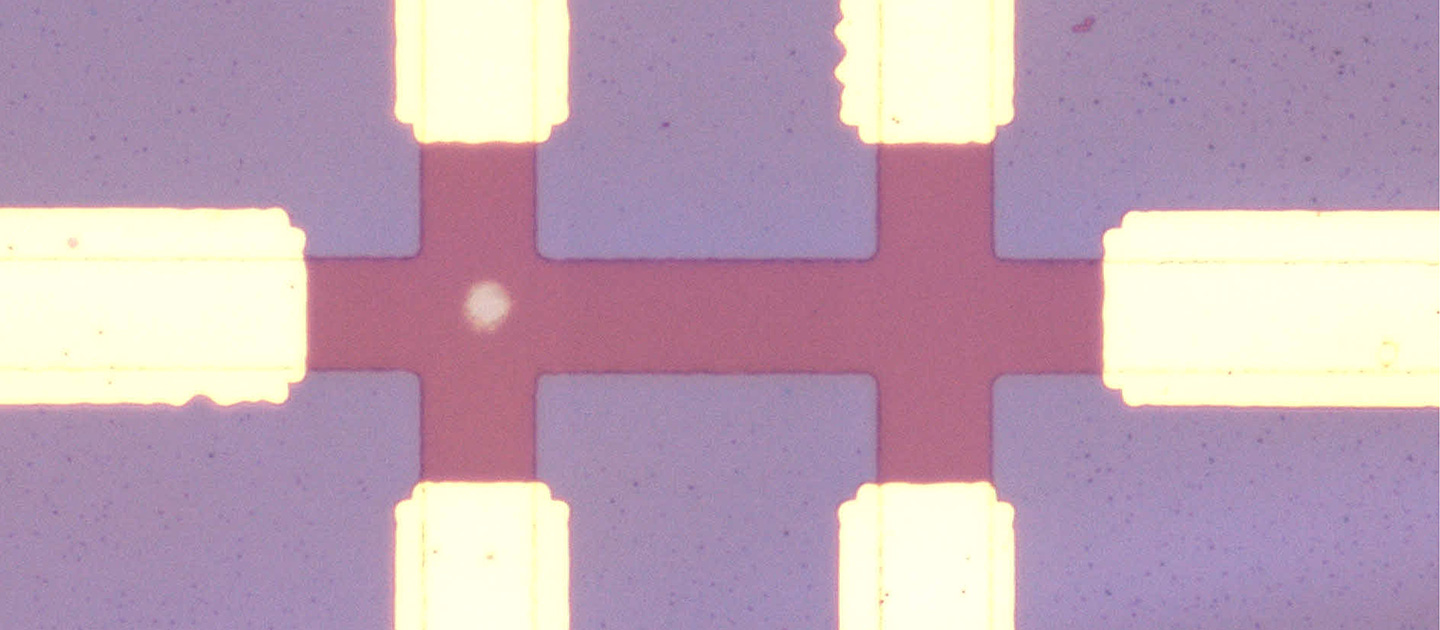 Microscope image