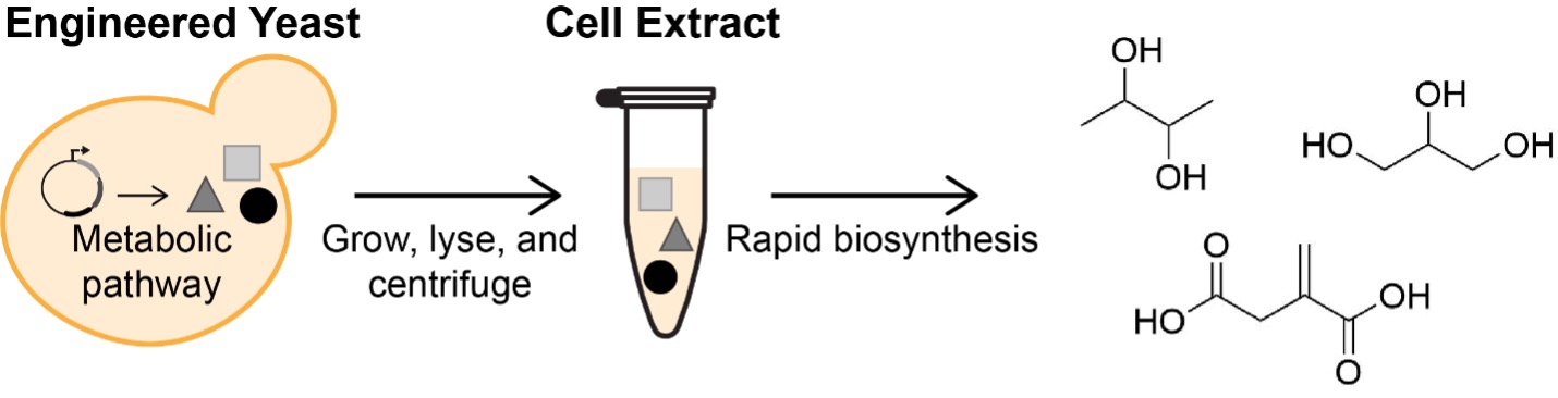 Cell extracts provide an alternative format for chemical synthesis in the absence of cell growth by isolating the soluble components of lysed cells. By separating the production of enzymes (during growth) and the biochemical production process (in cell-free reactions), this framework enables biosynthesis of diverse chemical products at volumetric productivities greater than the source strains.