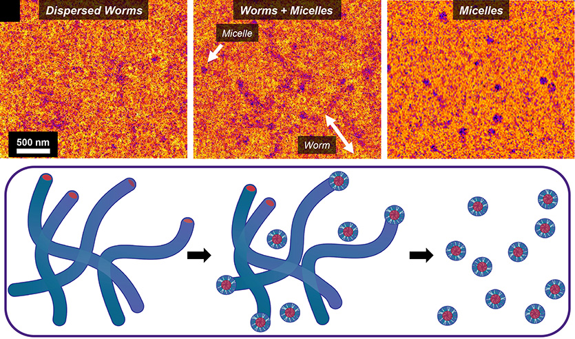 Processed LCTEM images showing worm-to-micelle transformations, induced by the flow of solvents.