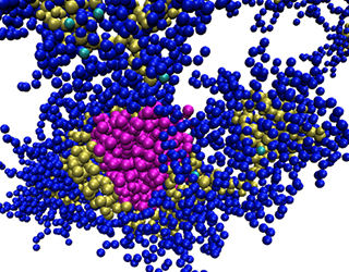 This is a snapshot of the simulations showing the PETase enzyme (magenta) encapsulated by the random heteropolymers. Controlling the polymer composition leads to differences in enzyme binding.
