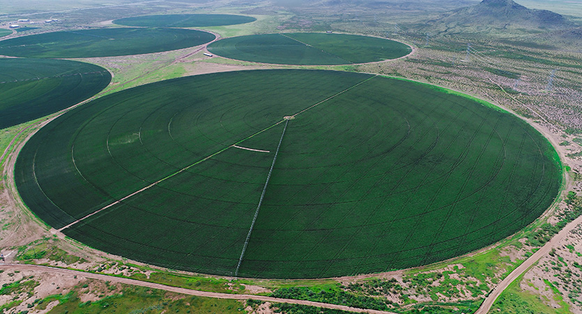 Center pivot irrigators are a method of watering crops.