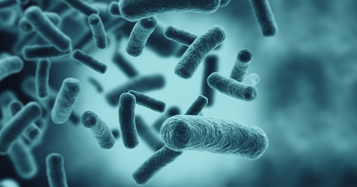 How Wasteeating Bacteria Digest Complex Carbons News Northwestern