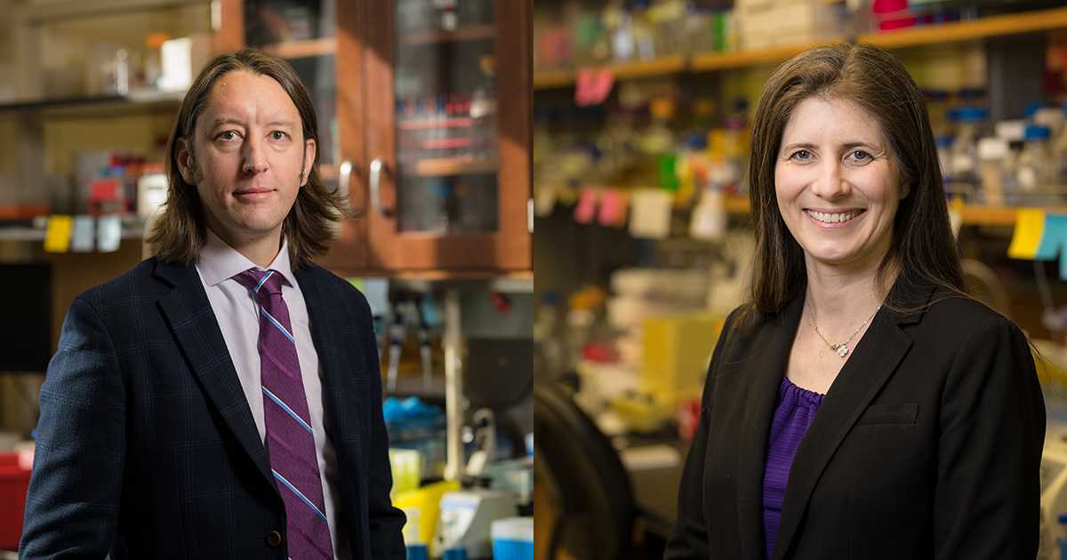 Julius Lucks, left, and Danielle Tullman-Ercek were founding members of the Center for Synthetic Biology when they each arrived at Northwestern in 2016.