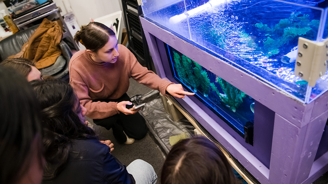 Students explore