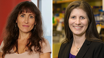Two Faculty Inducted into the AIMBE College of Fellows