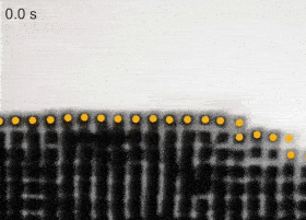 This GIF depicts the liquid-phase TEM video of layer-by-layer growth of a crystal with smooth surface from gold concave nanocubes. Surface particles on the growing crystal are tracked (center positions overlaid with yellow dots).