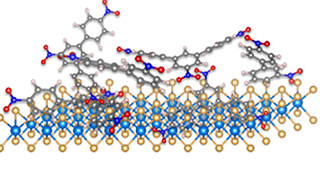 This is an illustration of a monolayer WSe2 following the chemical functionalization process used in this study, resulting in physisorption of nitrophenyl oligomers.