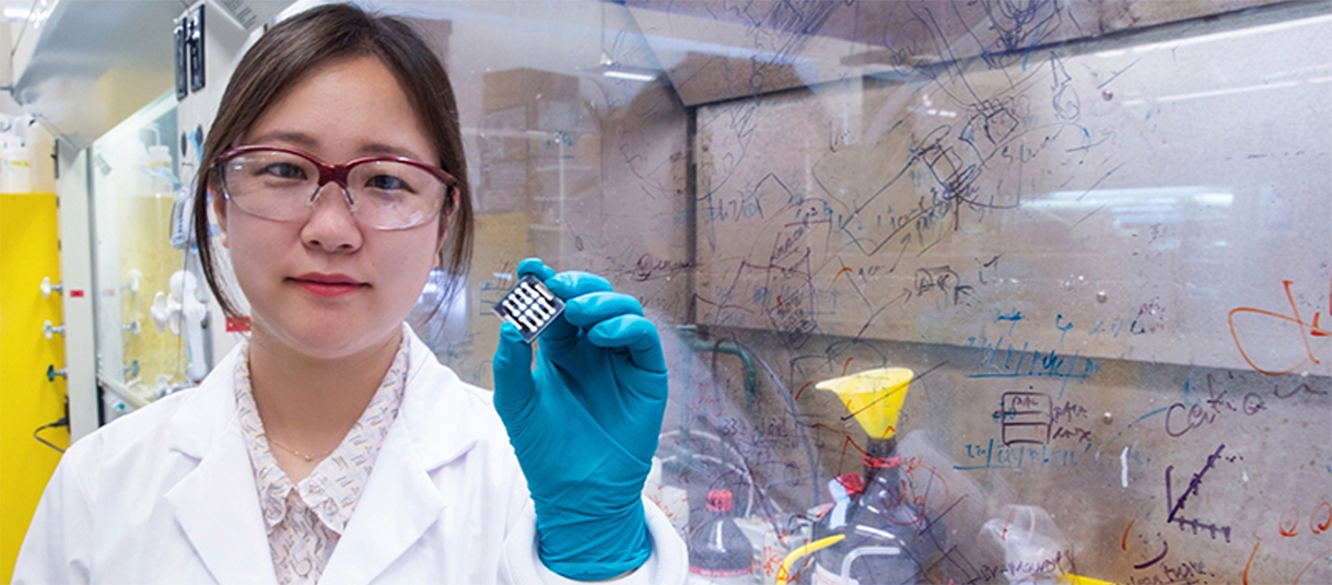 NAISE Microelectronics Workshop