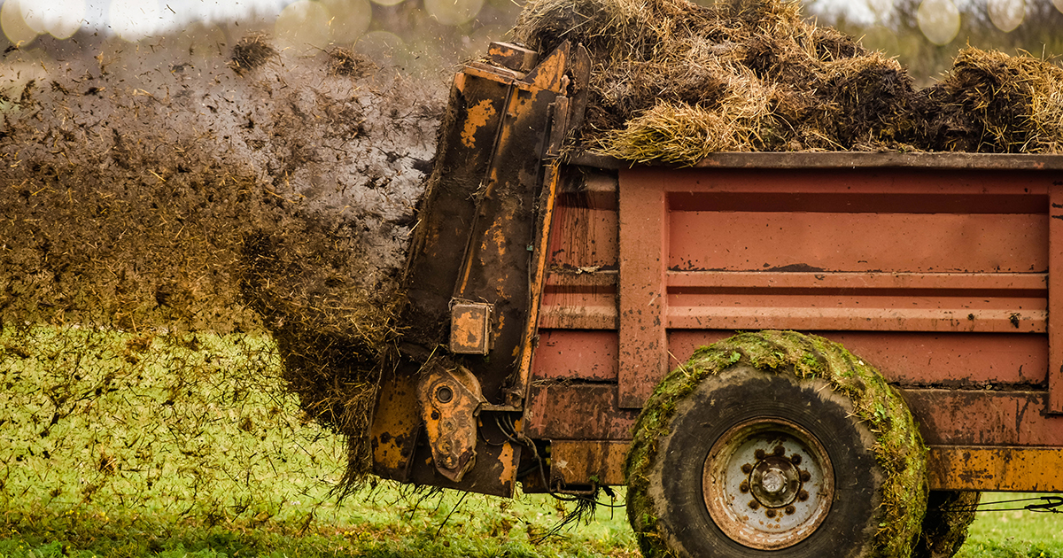 Hybrid Catalyst Produces Critical Fertilizer and Cleans Wastewater