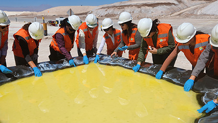 Global Engineering Trek in Energy Storage and Critical Minerals