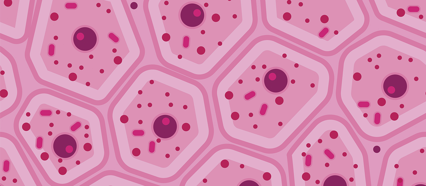 Skin cells on sale