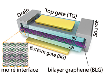 A schematic showing the different layers within the new technology. Credit: Mark C. Hersam/Northwestern University