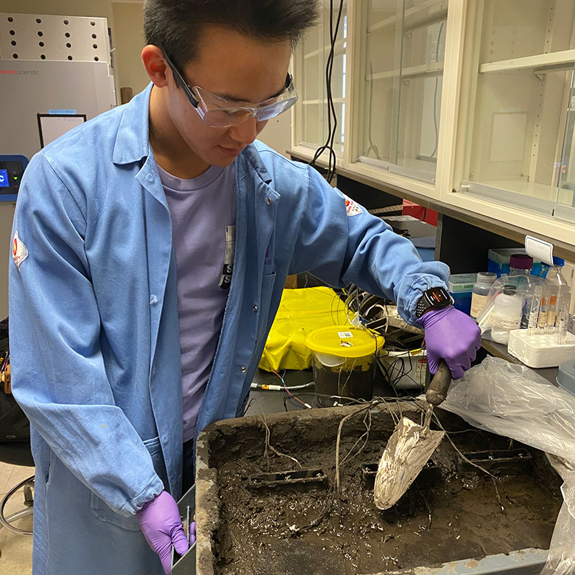 Working in the lab, Northwestern alumnus Bill Yen buries the fuel cell in soil.