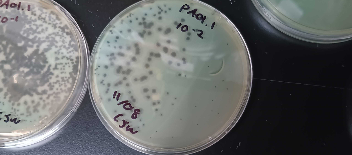 Northwestern's McCormick School of Engineering