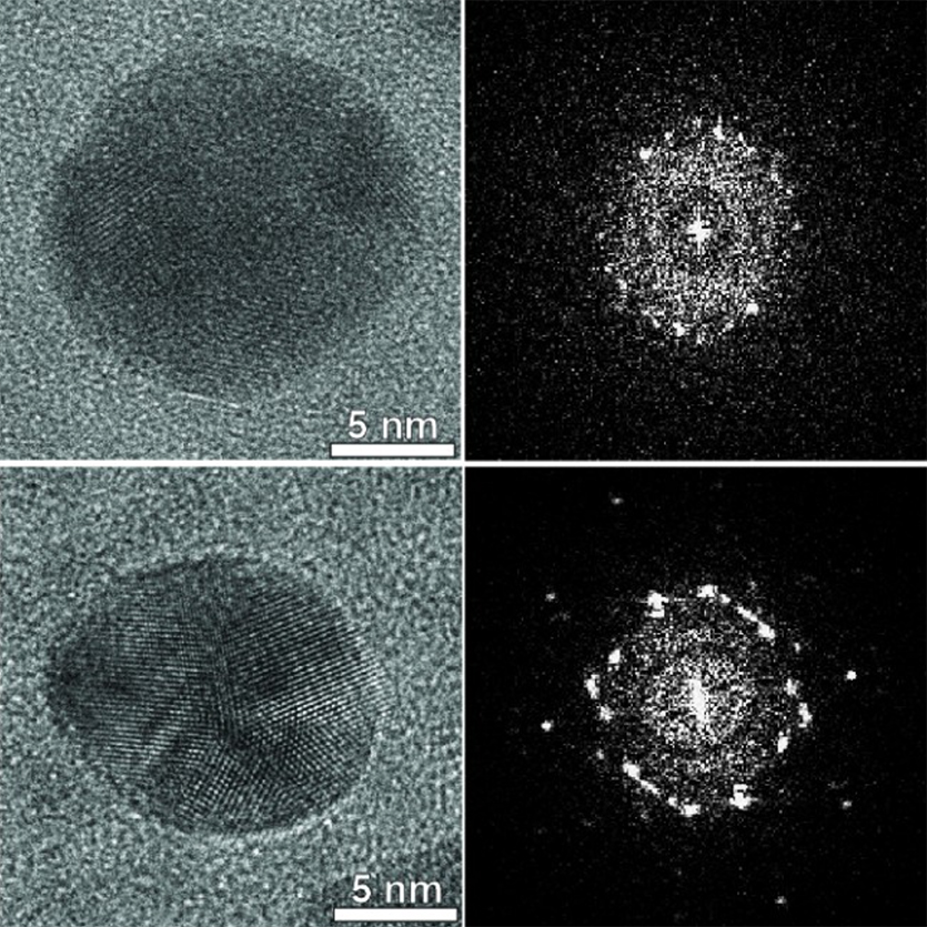 High resolution transmission electron microscope images of gold nanoparticles before (above) and after (below) encapsulation.