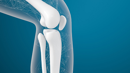 Knee bone
