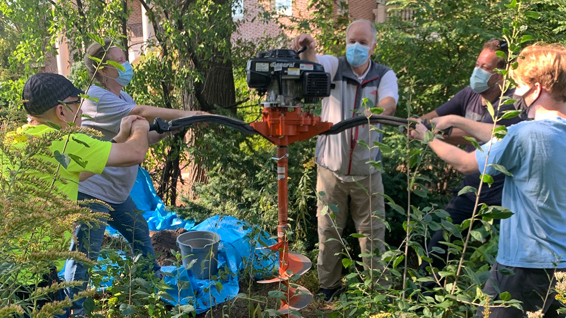 Over the course of four years, the team collected data on various factors, including biodiversity, soil quality, pollination rates, and seasonal effects.