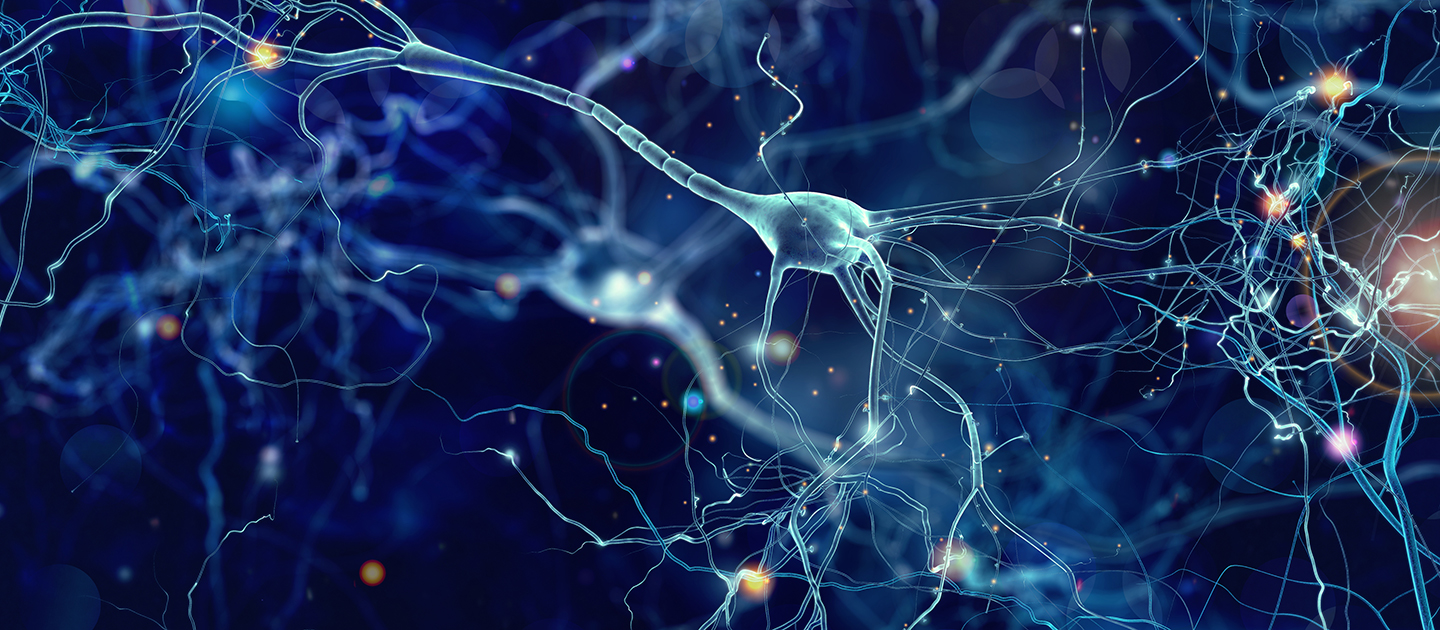 Neuron