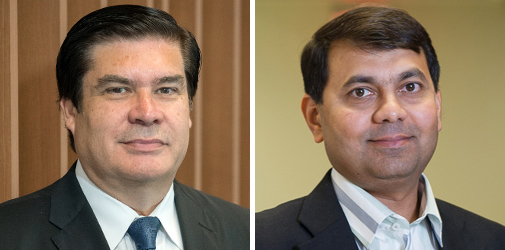 Horacio D. Espinosa, Neelesh A. Patankar