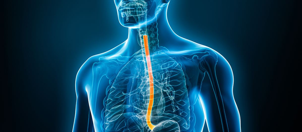 Esophagus
