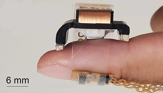 Measuring just a few millimeters in size, the device harnesses a tiny magnet and set of wire coils, arranged in a nesting configuration. 