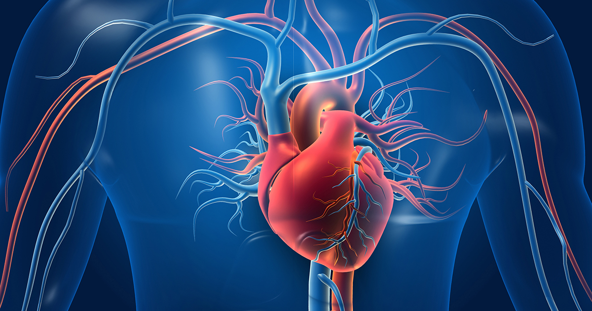 Systemically Injectable Therapy Could Prevent Heart Failure After